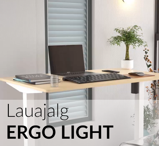 ergo_light_elustiil